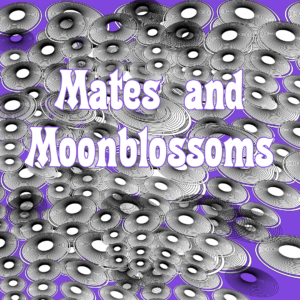 Albumcover - Mates and Moonblossoms